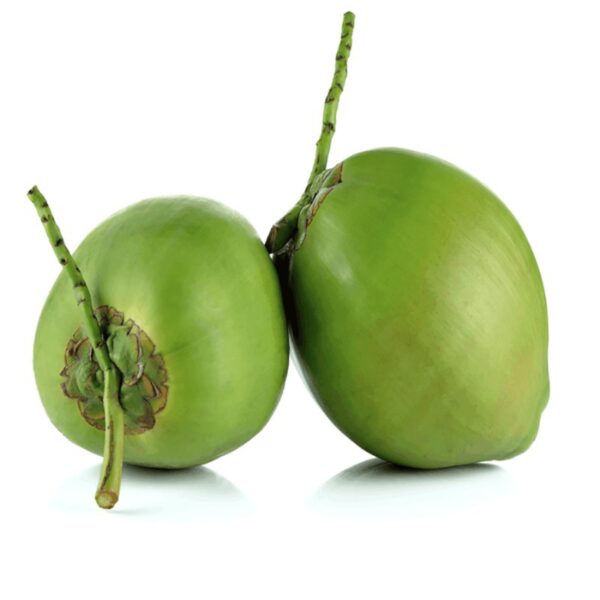 COCONUT DHAAB
