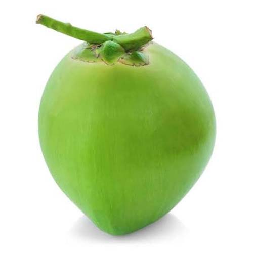 COCONUT DAAB - 1PCS