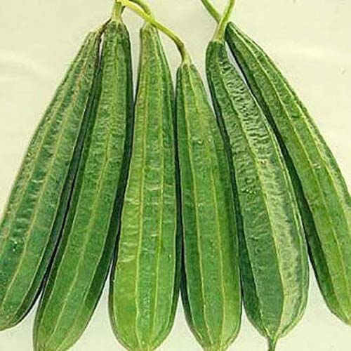 DHARI TORAI (Tori ) 500GM