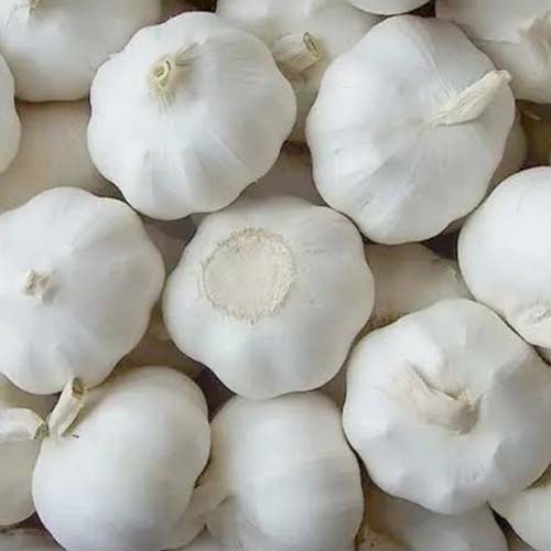 GARLIC CHINA 250GM