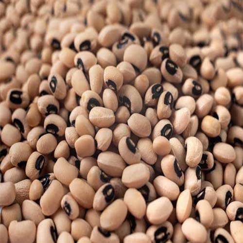 LOBIYA (LOBIA) 250GM