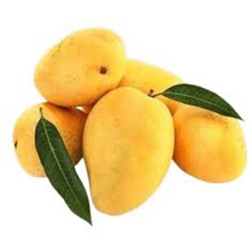 MANGO SAFEDA