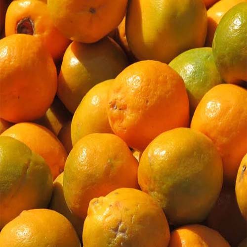 ORANGE (NARANGI) - NEW (1KG)