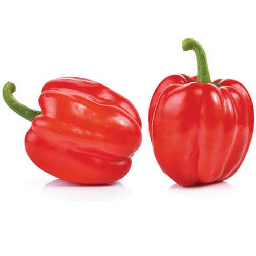 RED BELLPEPER 100GM
