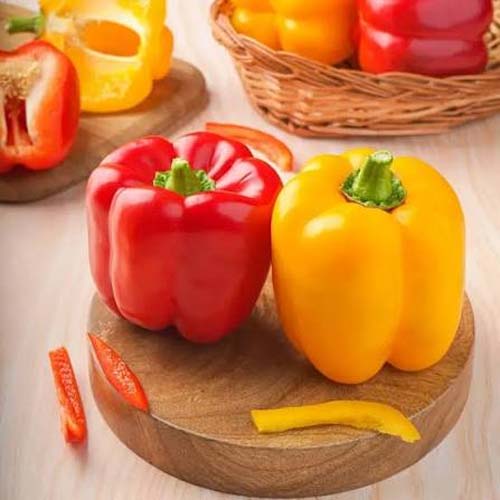 RED & YELLOW BELLPEPER 100GM