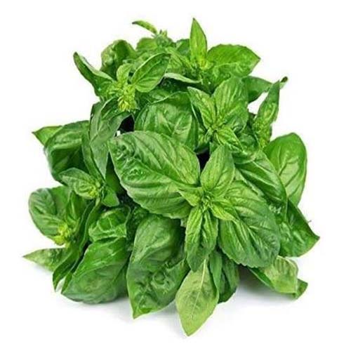 Basil Leaves - 100GM